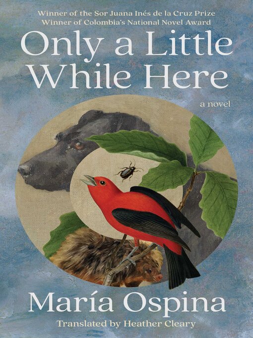 Cover image for Only a Little While Here